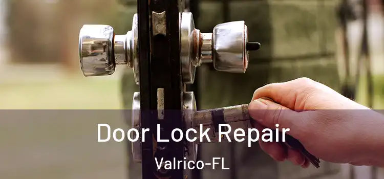 Door Lock Repair Valrico-FL