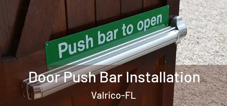  Door Push Bar Installation Valrico-FL