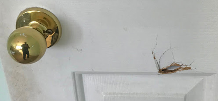 interior door hole repair Valrico
