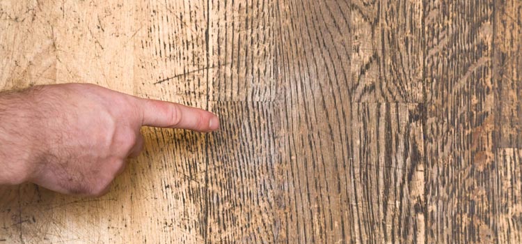 Wood Door Scratch Repair in Valrico