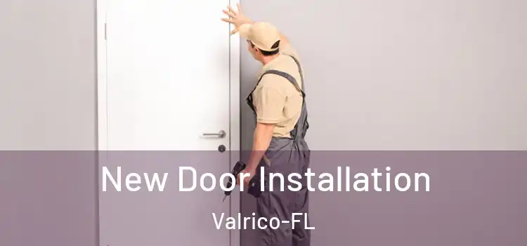  New Door Installation Valrico-FL