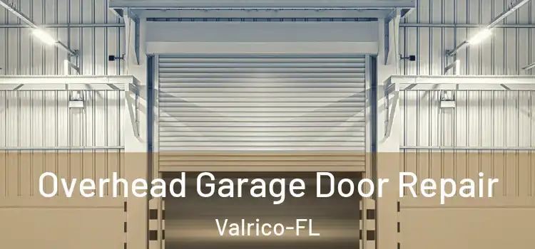  Overhead Garage Door Repair Valrico-FL