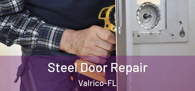  Steel Door Repair Valrico-FL